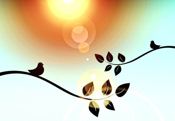 Дизайн презентации птицы