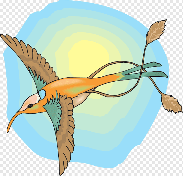 Птица на белом фоне