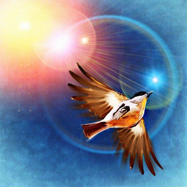 Птица летит