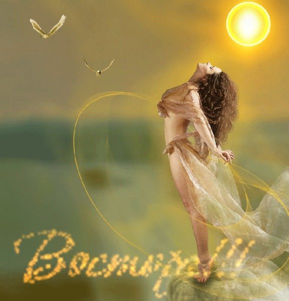 Солнышко я тебя люблю