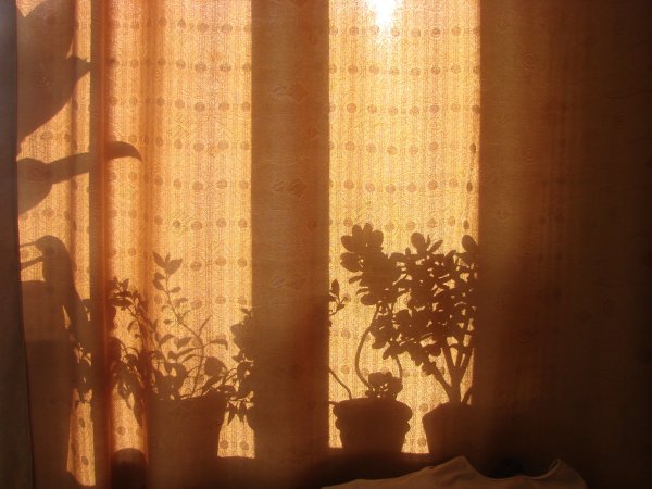 Солнце сквозь шторы