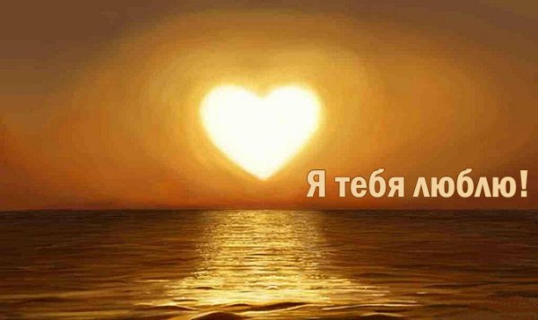 Люблю тебя солнышко