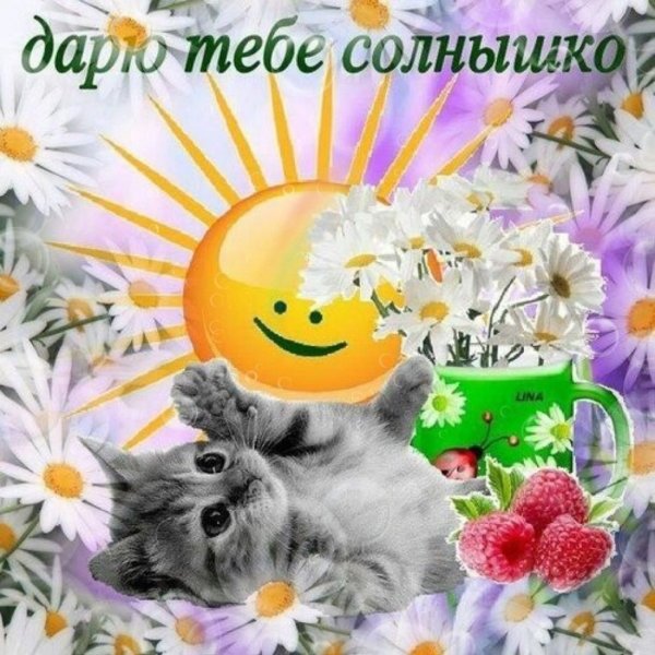 Люблю тебя солнышко