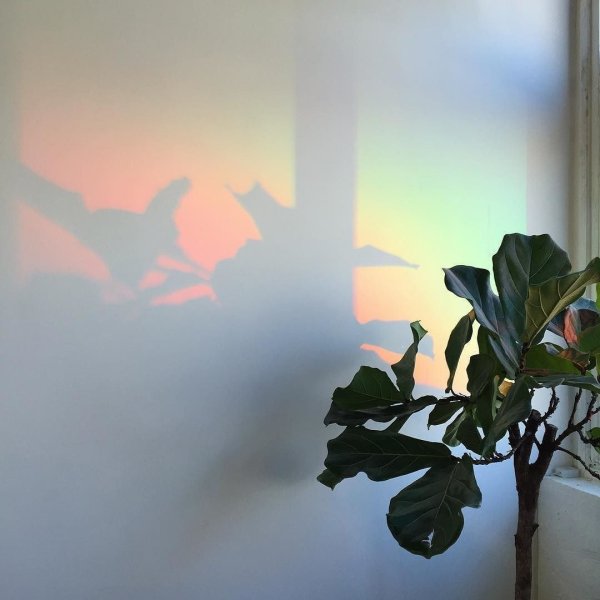 Солнечные лучи Эстетика