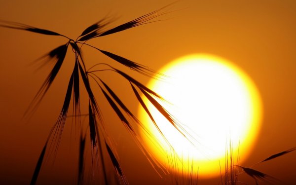 Картина рассвет в горах