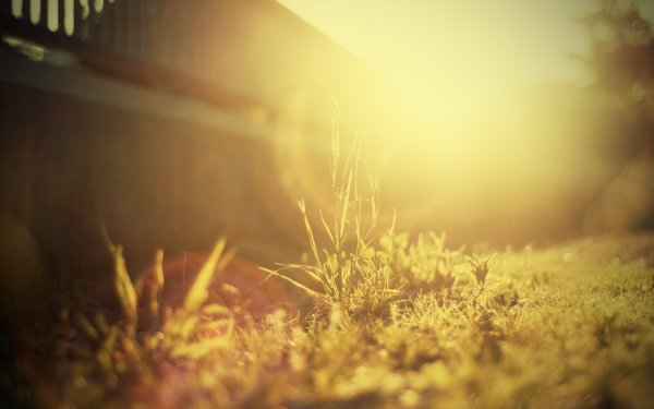 Лучи солнца