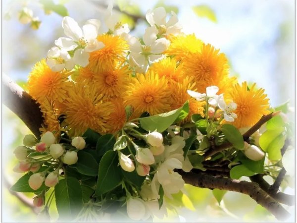 Открытки с добрым утром бесплатно мерцающие