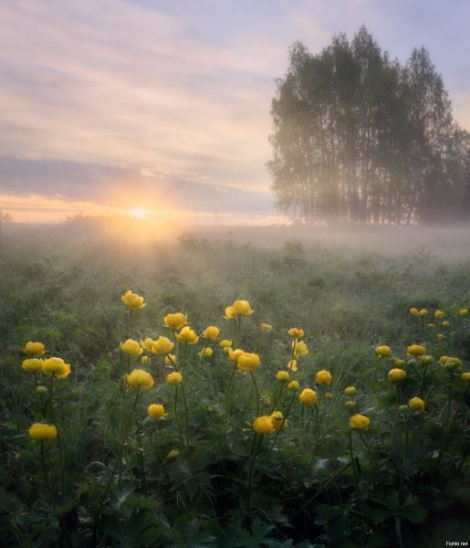 Закат солнца