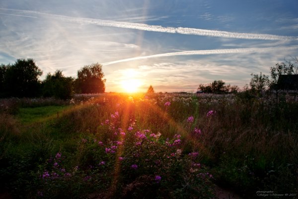 Солнца светом Озаренный