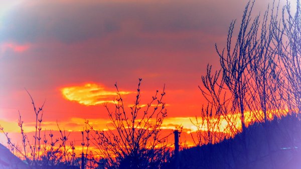 Здравствуй, солнышко