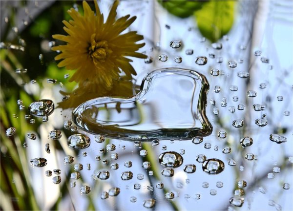 Летний дождь стихи