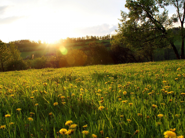 Солнечная Поляна