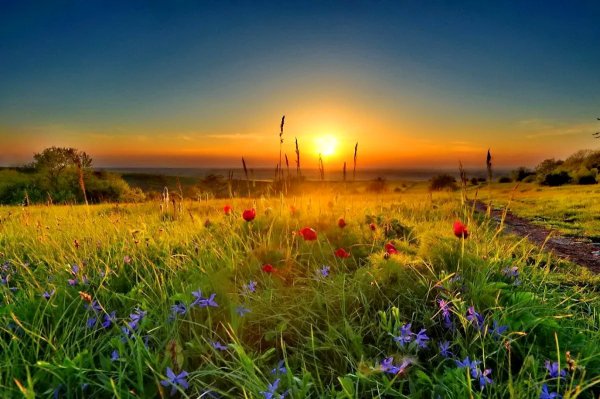 Солнечный день