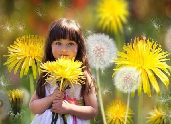 Рыжее солнце