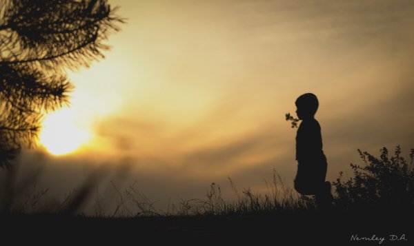 Солнце тень для детей