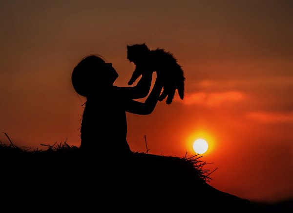 Силуэты детей на закате