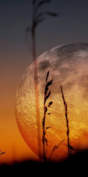 Луна на закате солнца