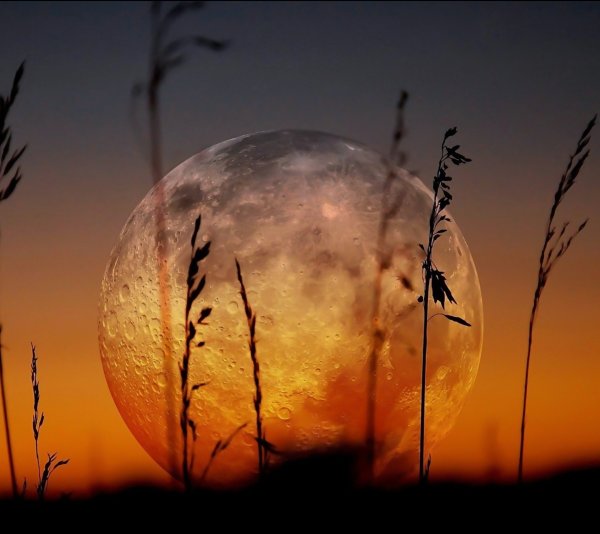 Солнце и Луна