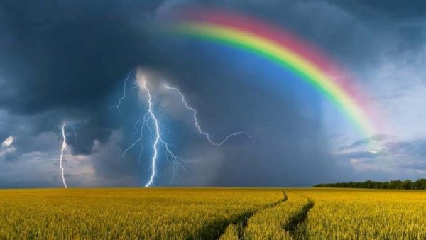 Гроза и дождь