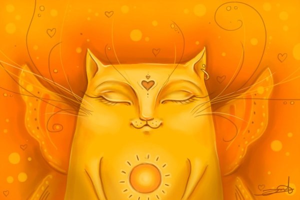 Котик на солнце