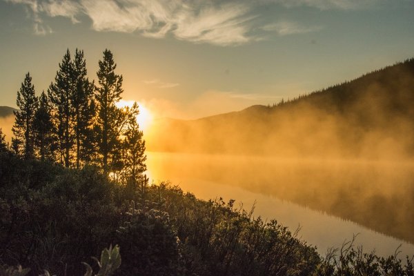 Лес рассвет туман
