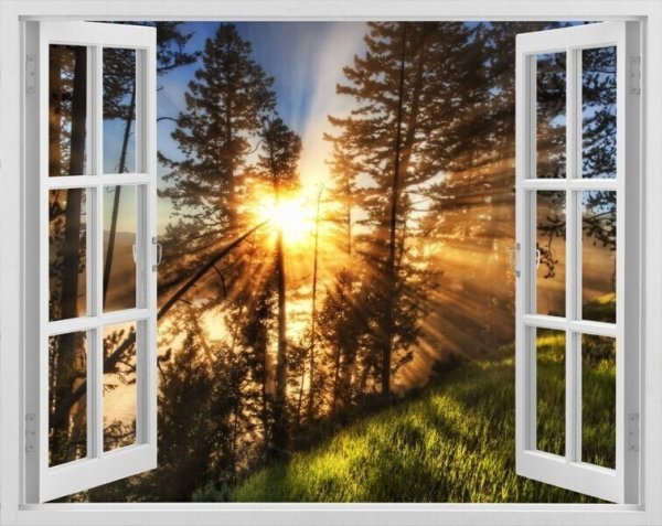 Солнечные лучи в окне
