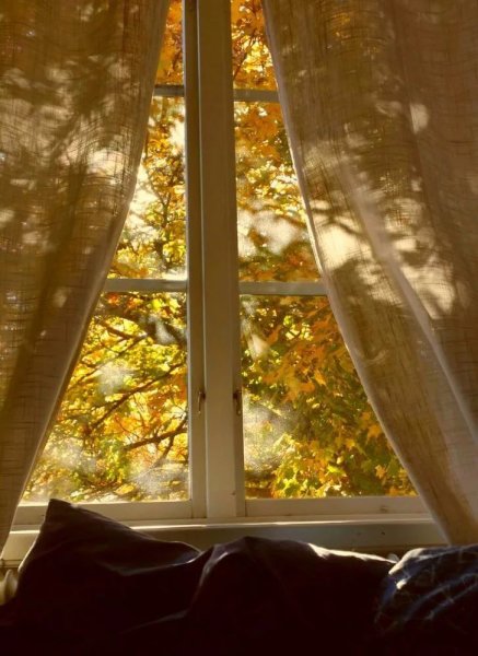 Паустовский желтый свет