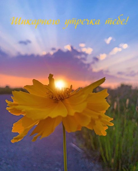 Картины восходящего солнца