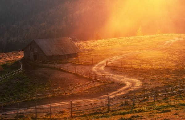 Япония тории закат