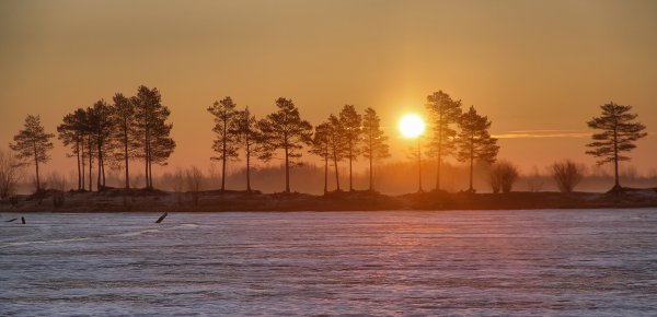 Дорога природа закат