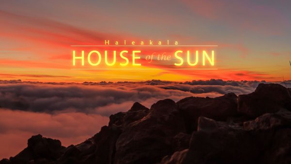 Яйца на фоне заката