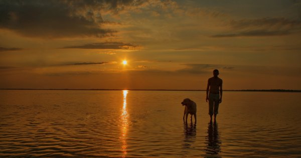 House of the Rising Sun Вьетнам