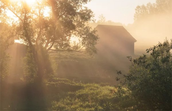 Красивая природа рассвет