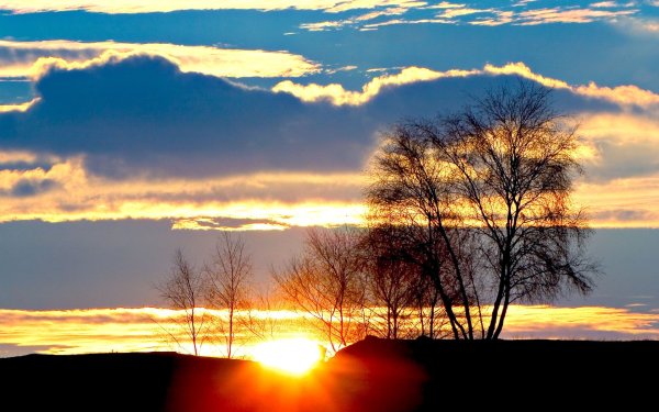 Тайга закат