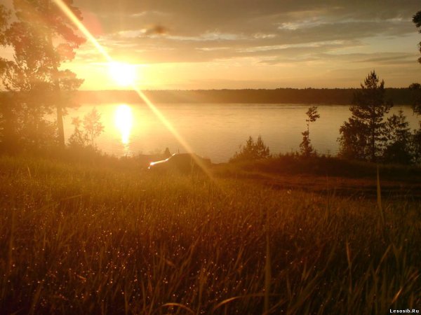 Дом восходящего солнца картинки