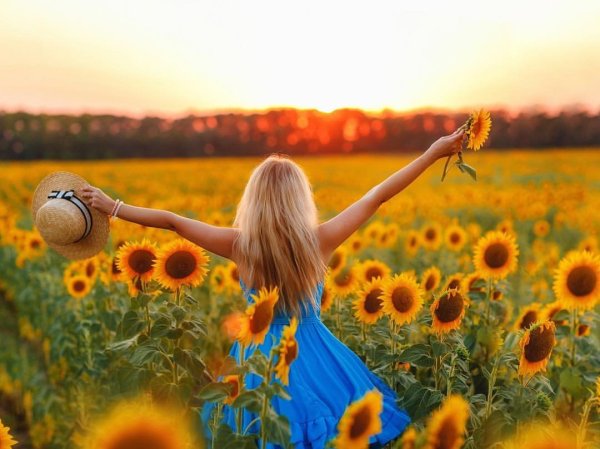 Любовь счастье радость нежность