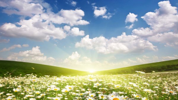 Солнце счастье радость