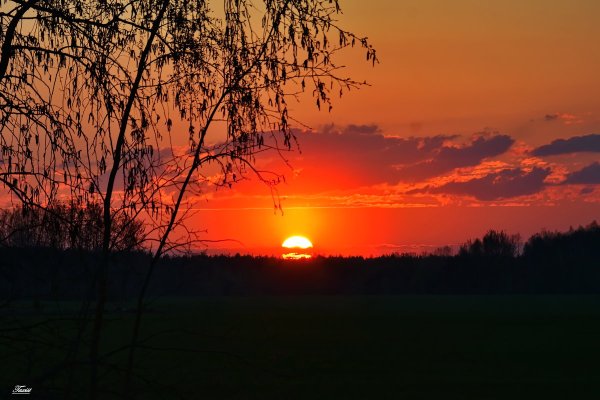 Весенний закат солнца