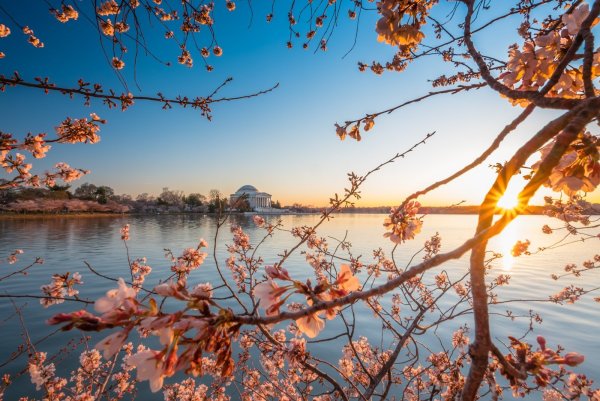 Весенний рассвет