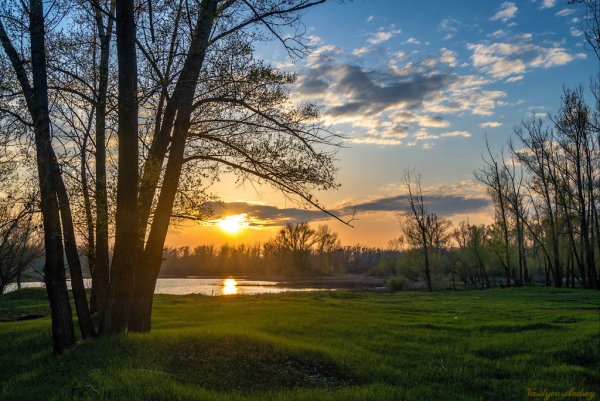 Весна солнце река