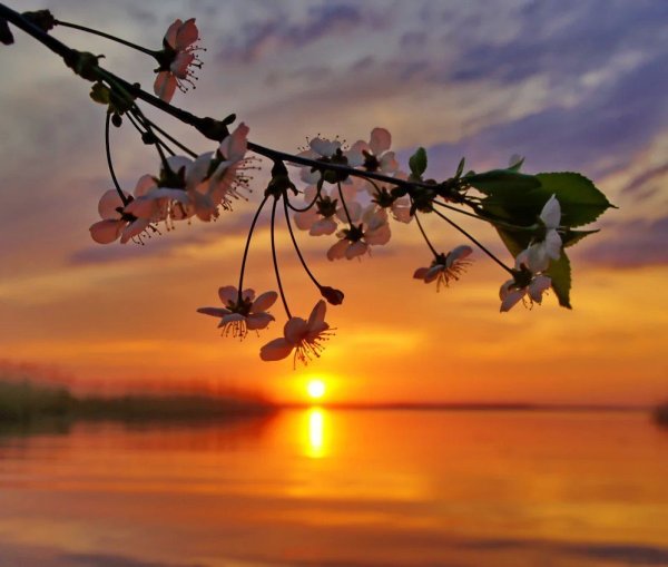 Весенняя ночь