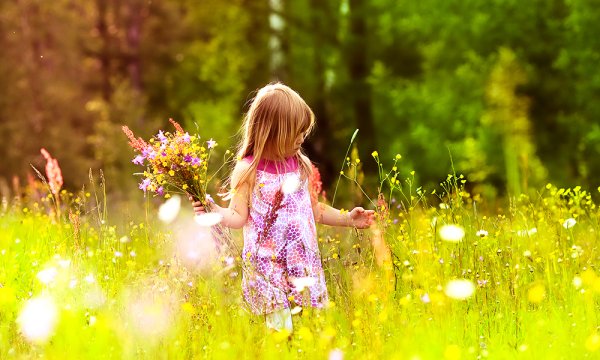 Солнечные лучи счастливые дети