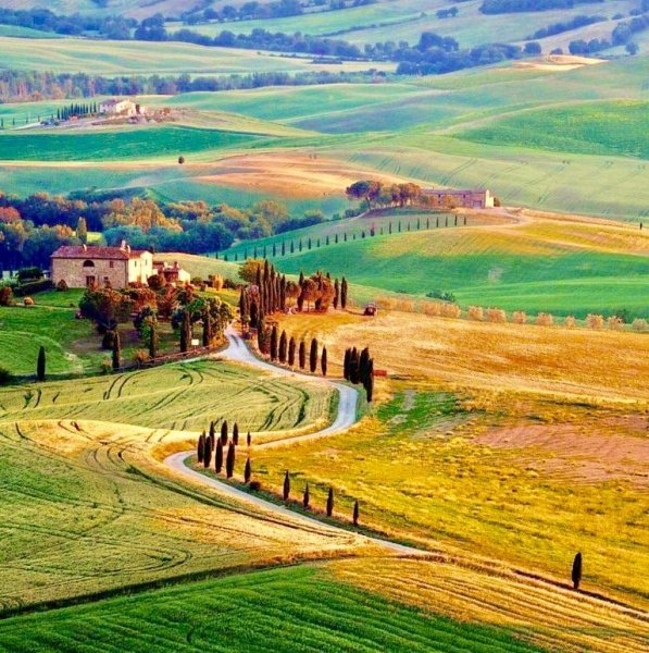 Вино Тоскана Италия