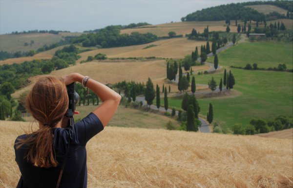 Холмы Тосканы картина