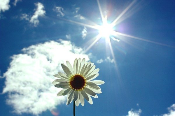 Солнце весной