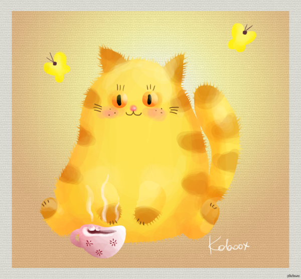 Котик на солнышке