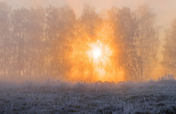 Отличного дня картинки