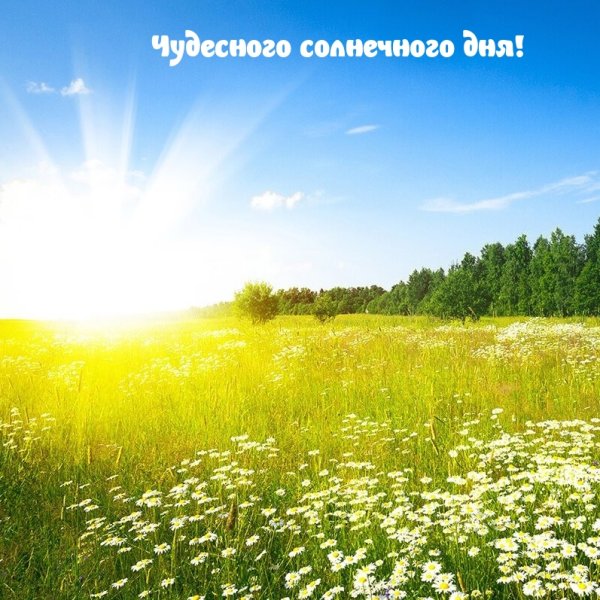 Зима солнце