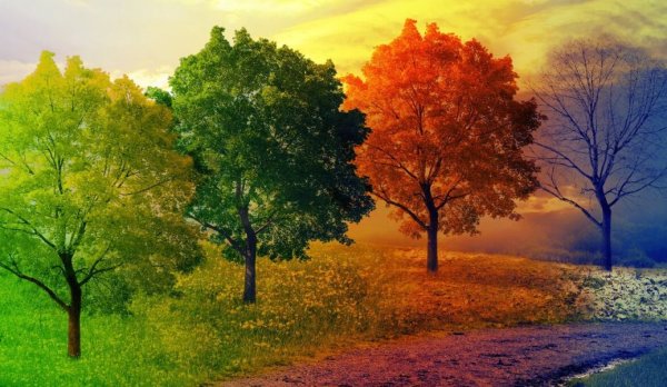 Пейзаж по временам года