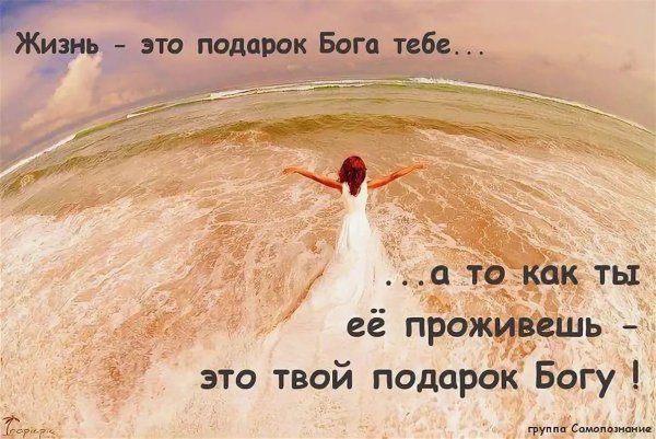 Любите жизнь цитаты